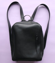 Load image into Gallery viewer, PieterPack