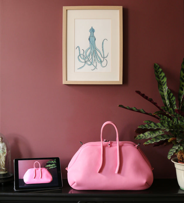 Calathea and Squid