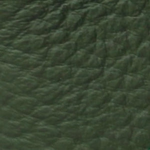 Pebble